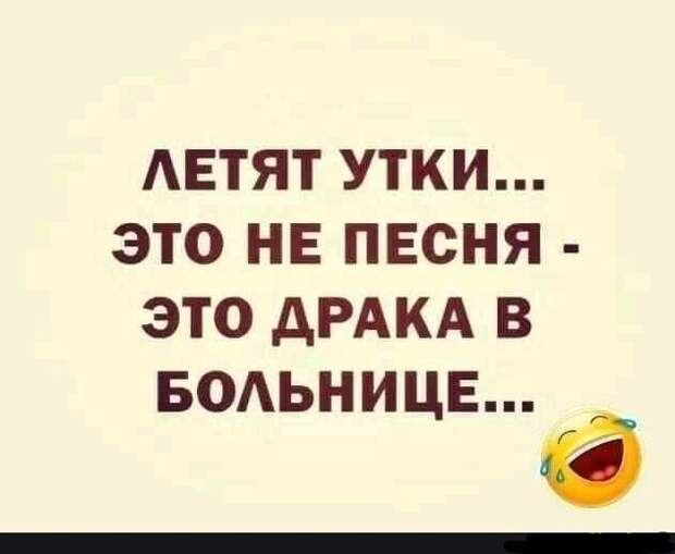 Летят утки Летят утки