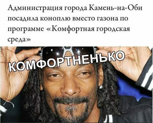 Креативные новостные заголовки на грани кликбейта Креативные новостные заголовки на грани кликбейта газеты, заголовки, мастер пера 80 лвл, пресса, скриншоты, смешно, статьи, юмор