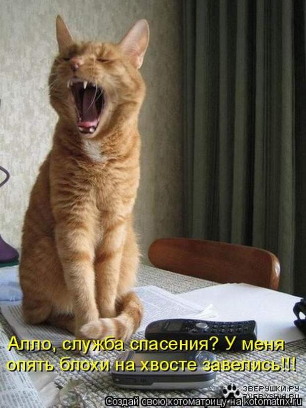 Мысли вслух :)