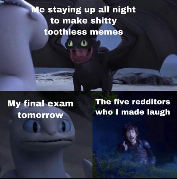 Toothless dragon and Light Fury memes