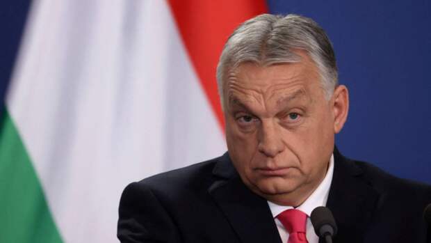 Венедиктов: Венгрия полностью осведомлена о происхождении арестованной украинской налички