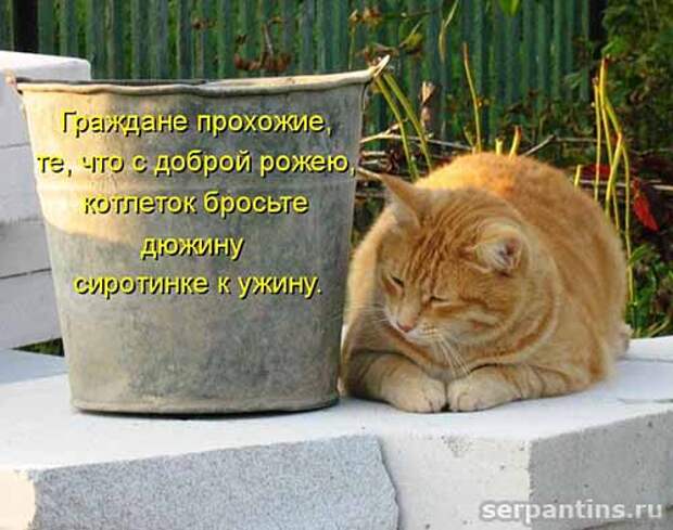 Кулинарный юмор