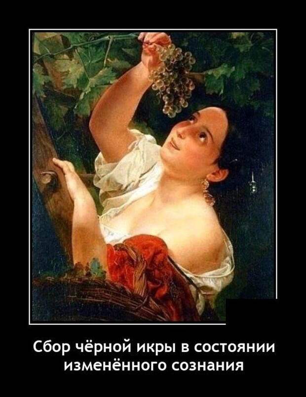 demotivatory-demotivator-smeshnye-demotivatory-demotivator-so-smyslom