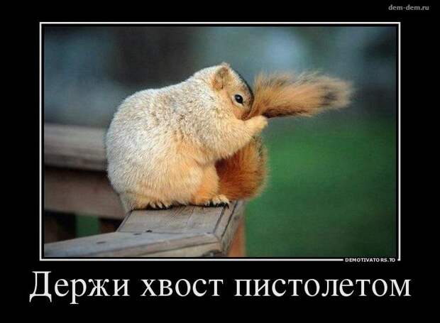 Свежие демотиваторы дня от 5-08-2014