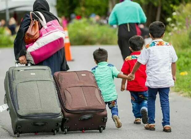 Мигрантам-«соотечественникам» за переезд в Россию платят миллионы, хотя они в наш бюджет не вложили ни копейки