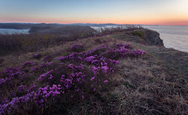 Море , горы  и туманы Приморья в пейзажных фотографиях Тони Андреевой. Россия.