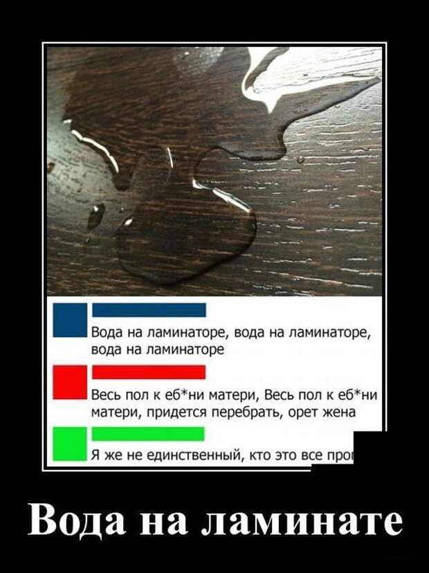 Демотиваторы (20 фото)