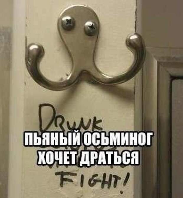Приколы и приколихи.