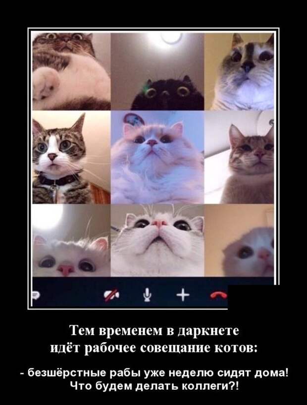 demotivatory-demotivator-smeshnye-demotivatory-demotivator-so-smyslom