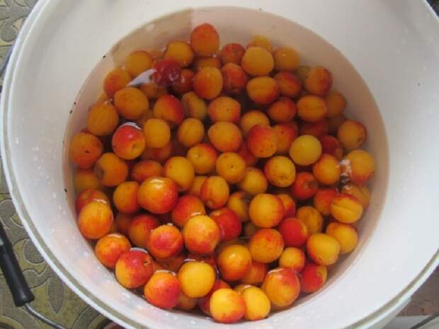 помыть абрикосы