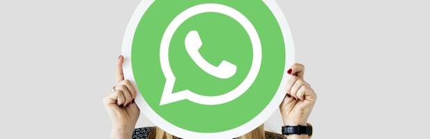 Скрыть статус в сети смогут пользователи WhatsApp