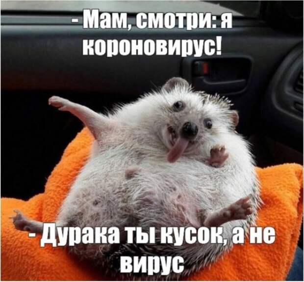 А детей я люблю. Всех