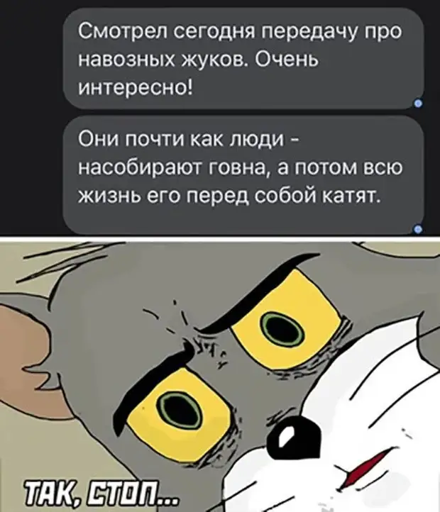 Скриншоты из социальных сетей. Часть 1525 (30 фото)