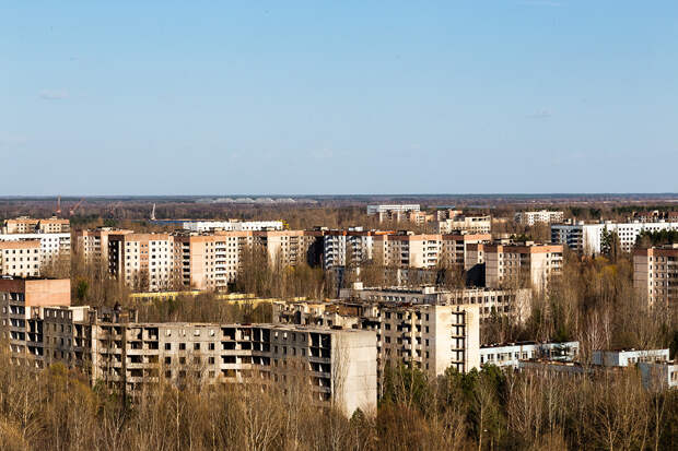 В чернобыльской зоне отчуждения исчезают воробьи