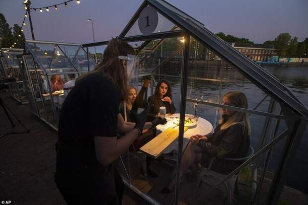 Голландский ресторан посадил посетителей поужинать в теплицах