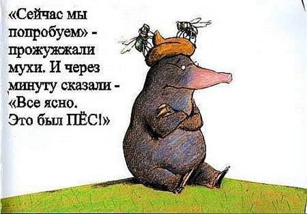 Неприятность с кротом