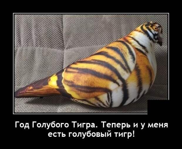 Демотиваторы 4 января 2022 года