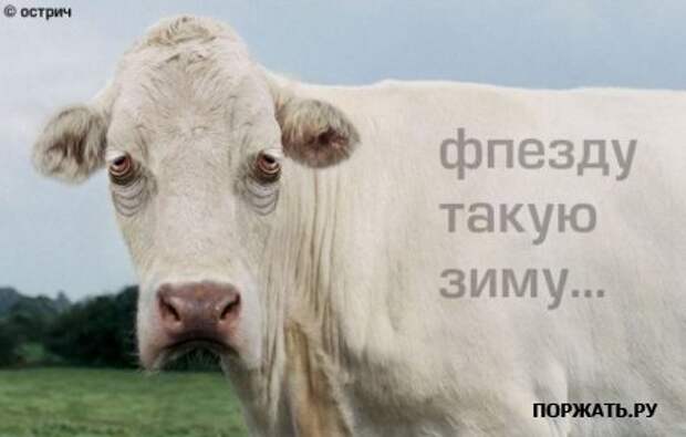 Фото позитив (25 фоток)
