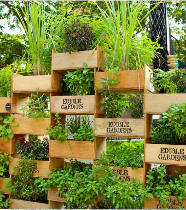 Много радости и мало места: лучшие идеи организации вертикального сада