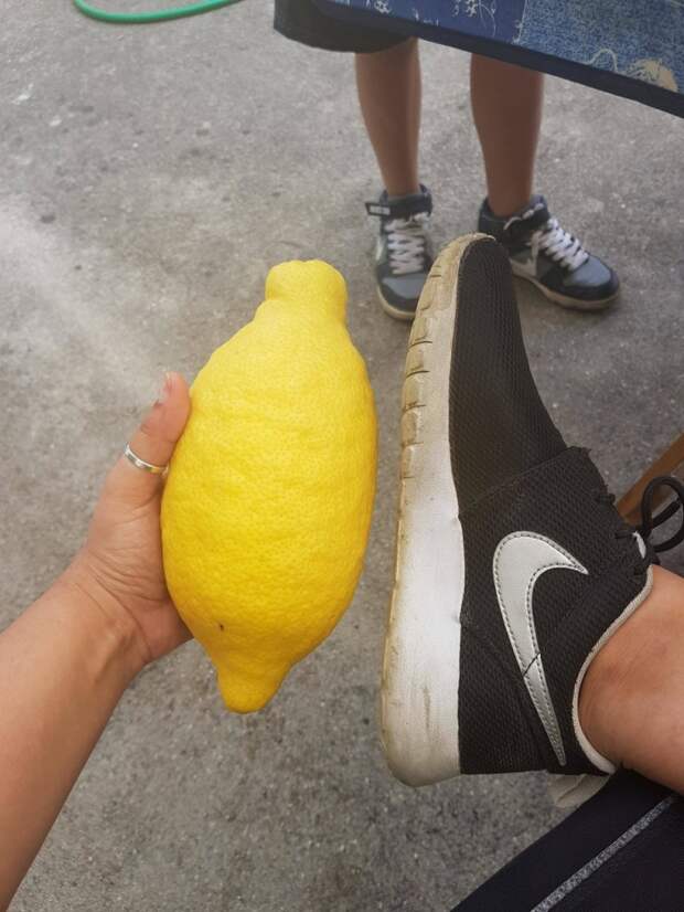 Фотоподборка
