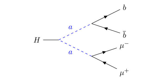 Рис. 3. Пример нестандартного распада бозона Хиггса