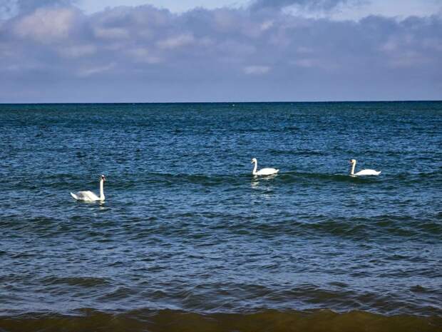 Сергей Колясников: Крым, Евпатория.. Бескрайние пологие пляжи, зеленые набережные, узкие атмосферные улочки старого города и кварталы строящихся современных отелей, стоящие стена к стене храмы, синаго