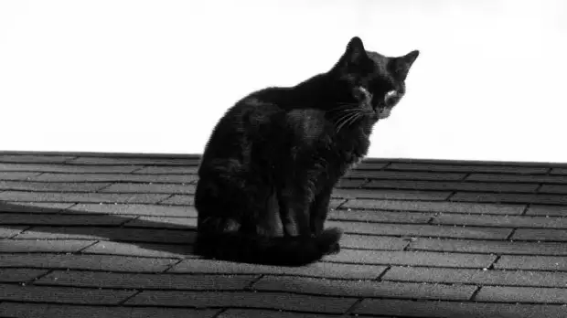 источник фото: badfon.ru