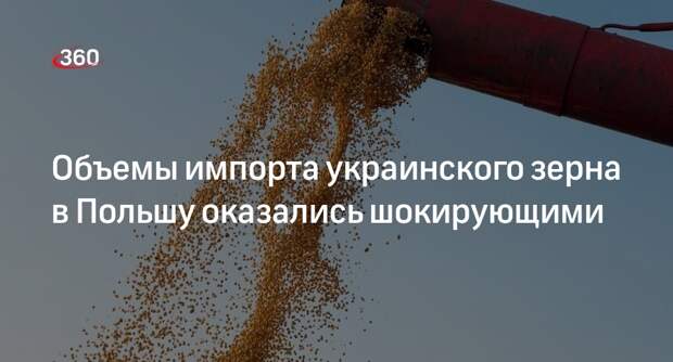 Поляков шокировали объемы ввоза украинского зерна