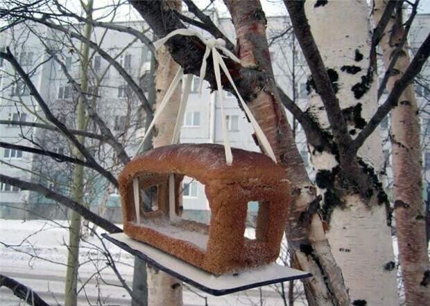 Дом для птичек Дом для птичек