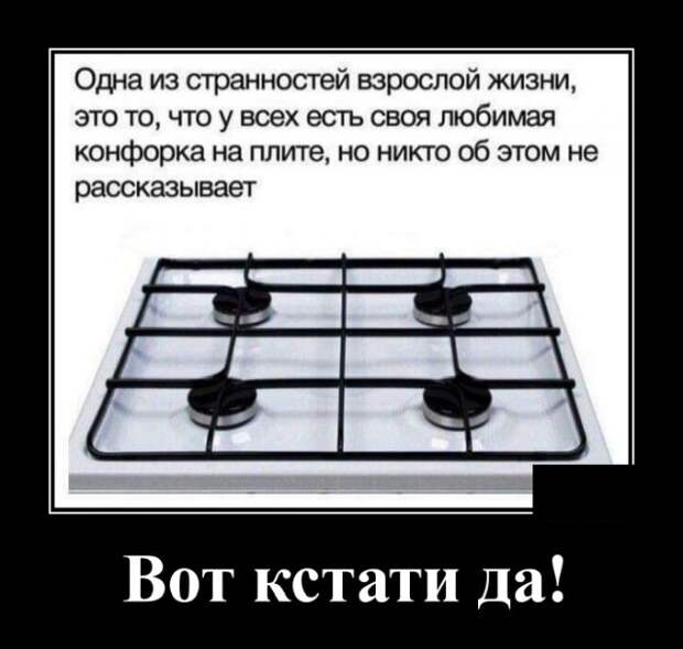 Демотиваторы (20 фото)