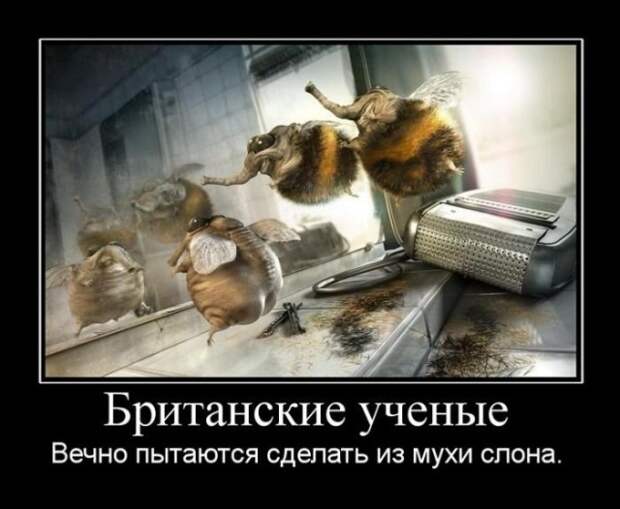 Демотиваторы