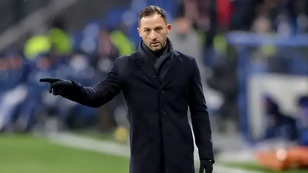 Источник: Тедеско отказался возглавить «Герту»