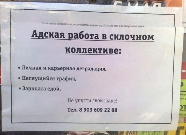 Правдивые надписи надпись, правда, смешно