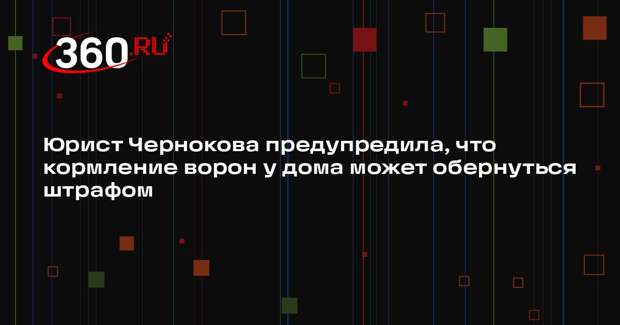 Юрист Чернокова предупредила, что кормление ворон у дома может обернуться штрафом
