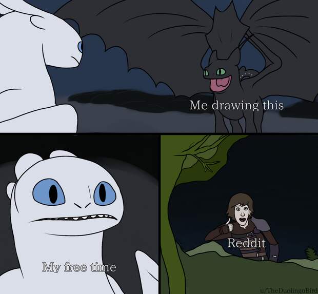 Toothless dragon and Light Fury memes
