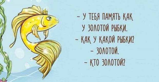 19 жизненных открыток с чёрнымчёрным юмором