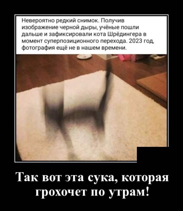 Демотиваторы (30 фото)