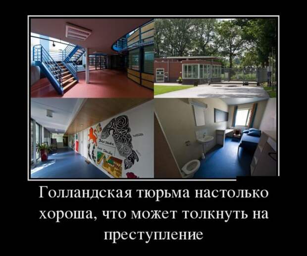 Демотиваторы (30 фото)