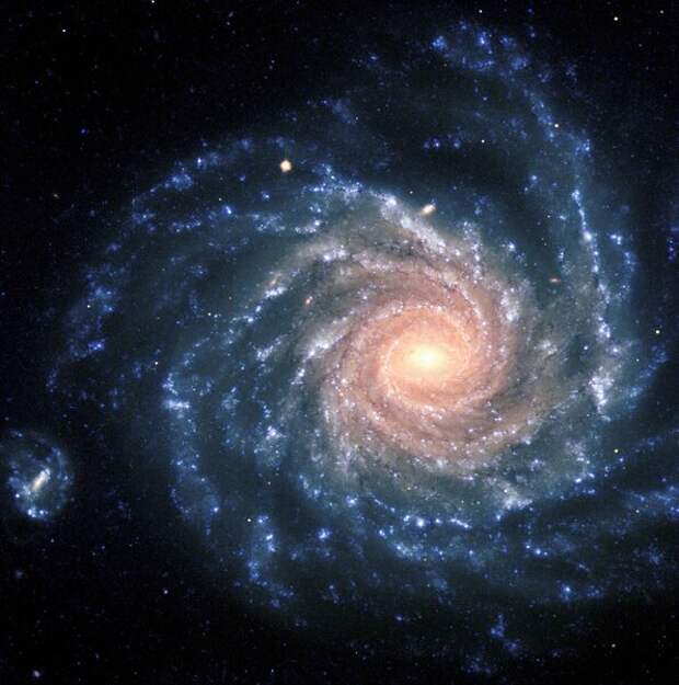 Спиральная галактика NGC 1232. Источник: eso.org