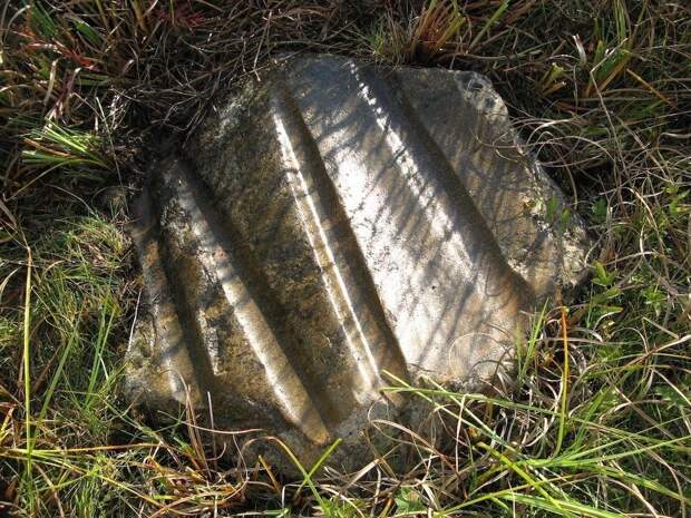 Источник: https://123ru.net/blogs/89449197/