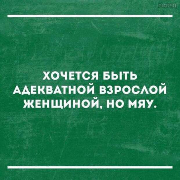 Ну как же всё в точку! Офигенно!