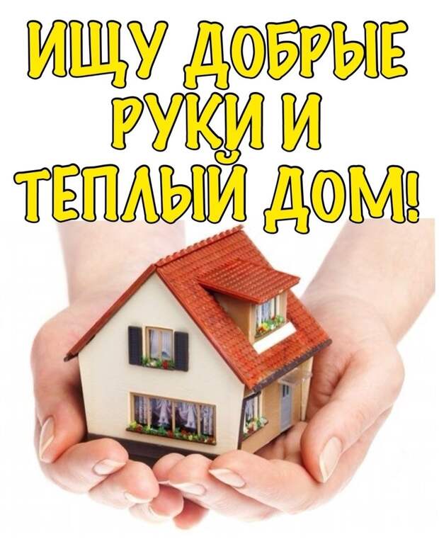 Она очень ждёт человека, который подарит ей любовь, комфорт и чувство безопасности! Она очень ждёт своего хозяина!