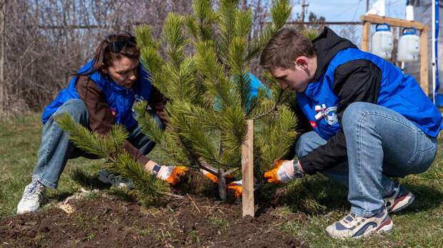 Посвященная героям ВОВ и спецоперации акция "Сад памяти" началась в Севастополе