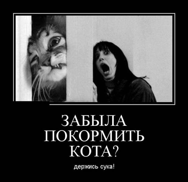 Демотиваторы (30 фото)