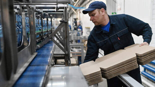 Коробка "девять жизней": отечественный бизнес успешно заменил западные корпорации в упаковочной индустрии