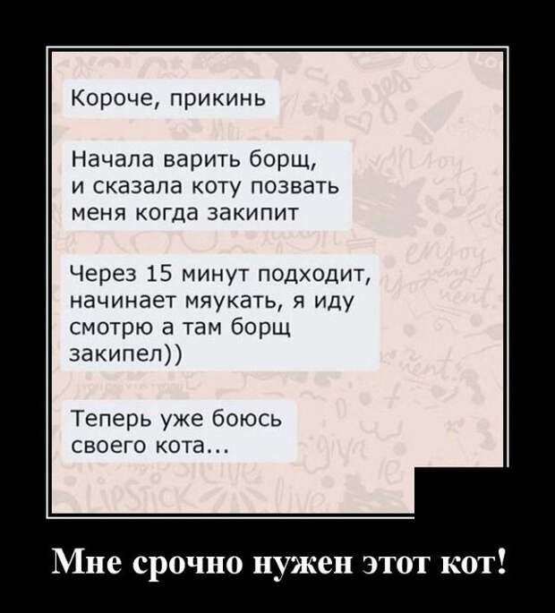demotivatory-demotivator-smeshnye-demotivatory-demotivator-so-smyslom
