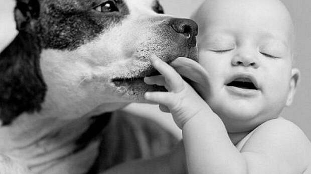 children-with-pets-19