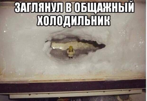 Прикольные фотки и картинки