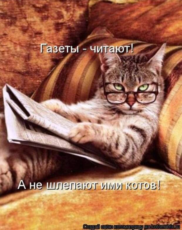 Приехала в гости сестра с двумя детьми 2 и 5 лет… Кот сразу притворился мертвым…