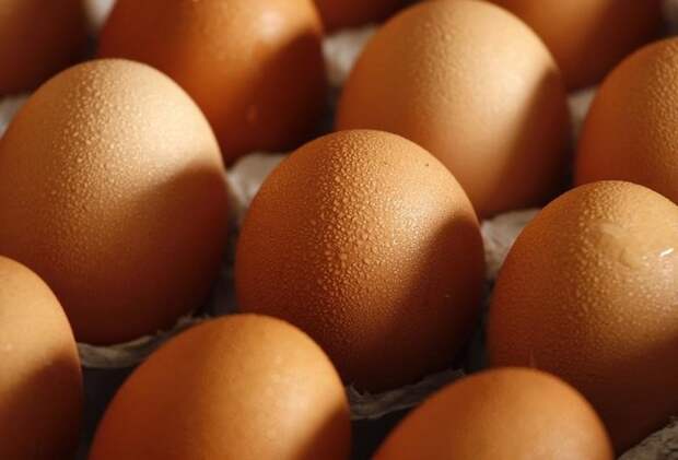 Признаки, указывающие на несвежесть продуктов питания